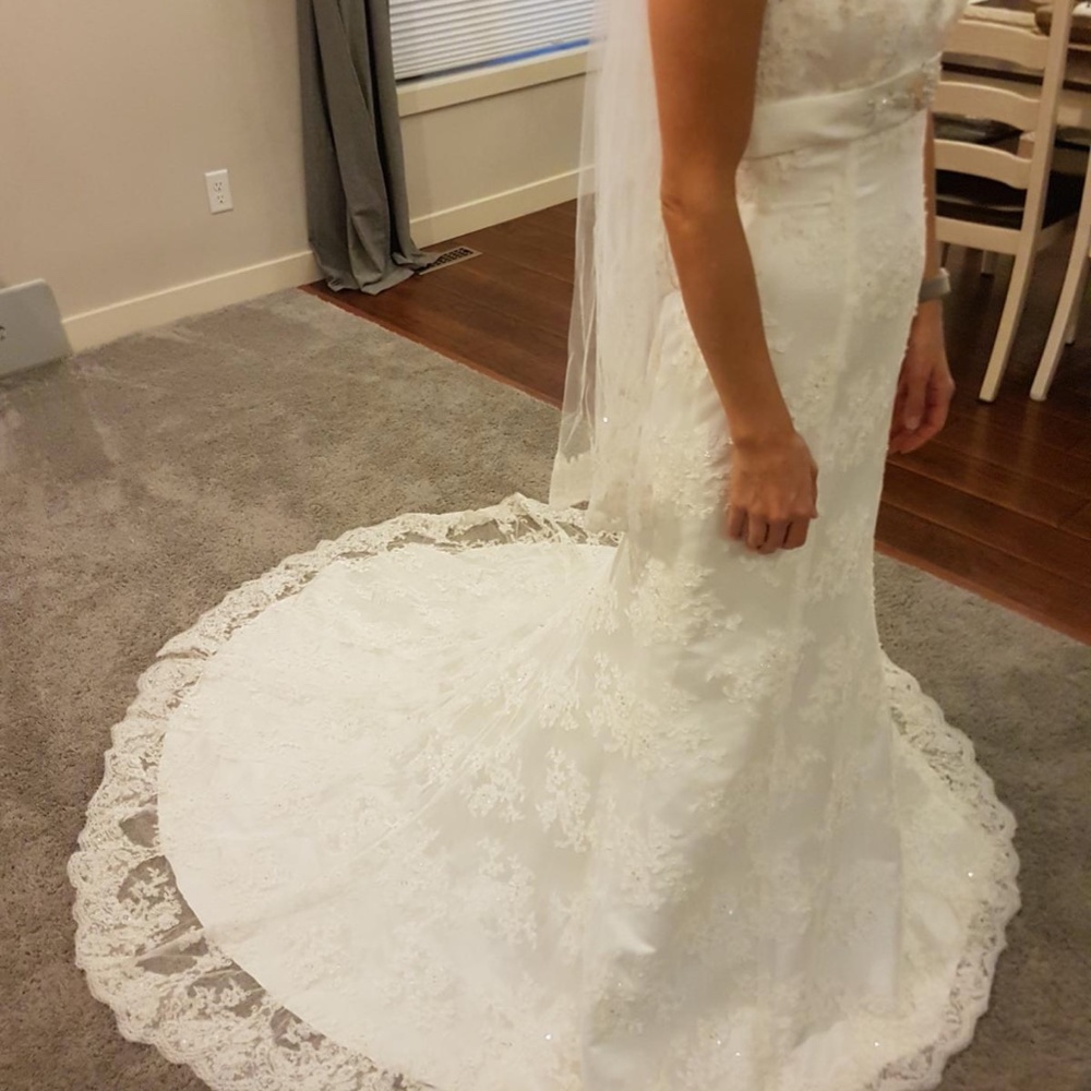 Wedding Dress - Picture 2 of 7